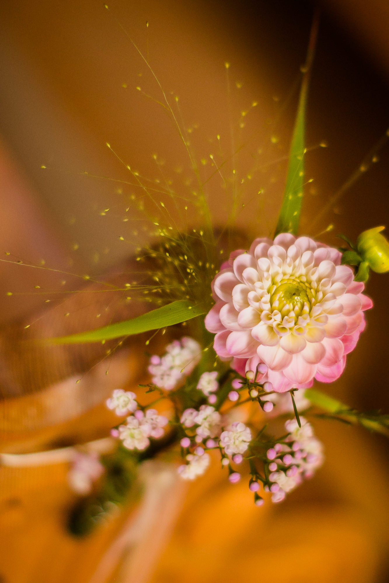 Export x3 019 HE 233 Beispiele Eva 2016